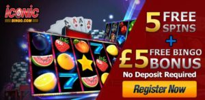 The Impact of New Bingo Sites with No Deposit Bonus