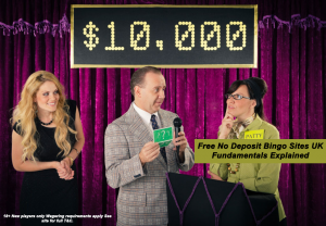 Free No Deposit Bingo Sites UK Fundamentals Explained