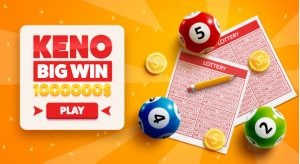 Indicators On New Bingo Sites UK 2025 You Should Know